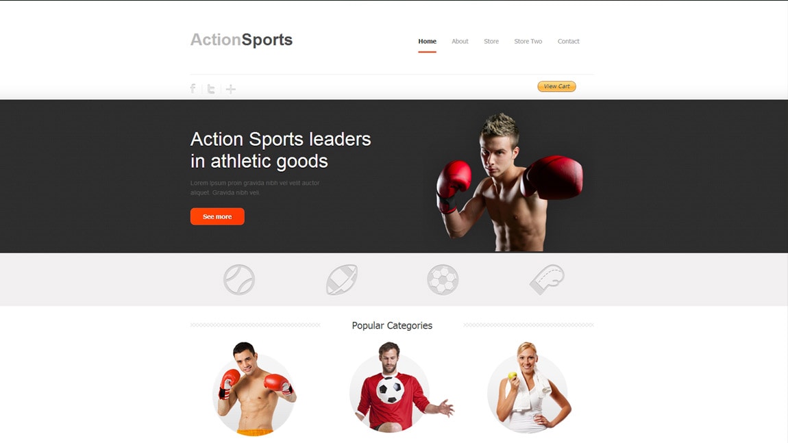 Sports Website